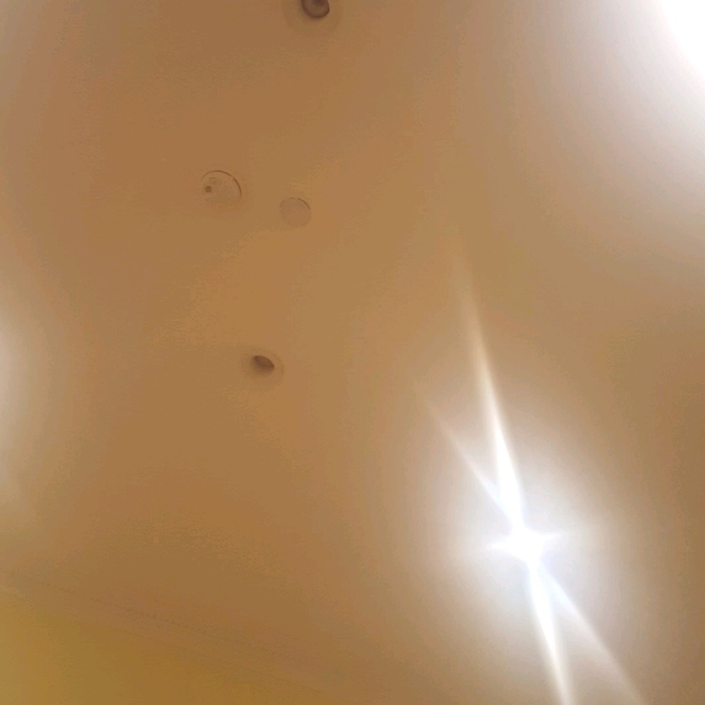 Meet your Posher, Lula